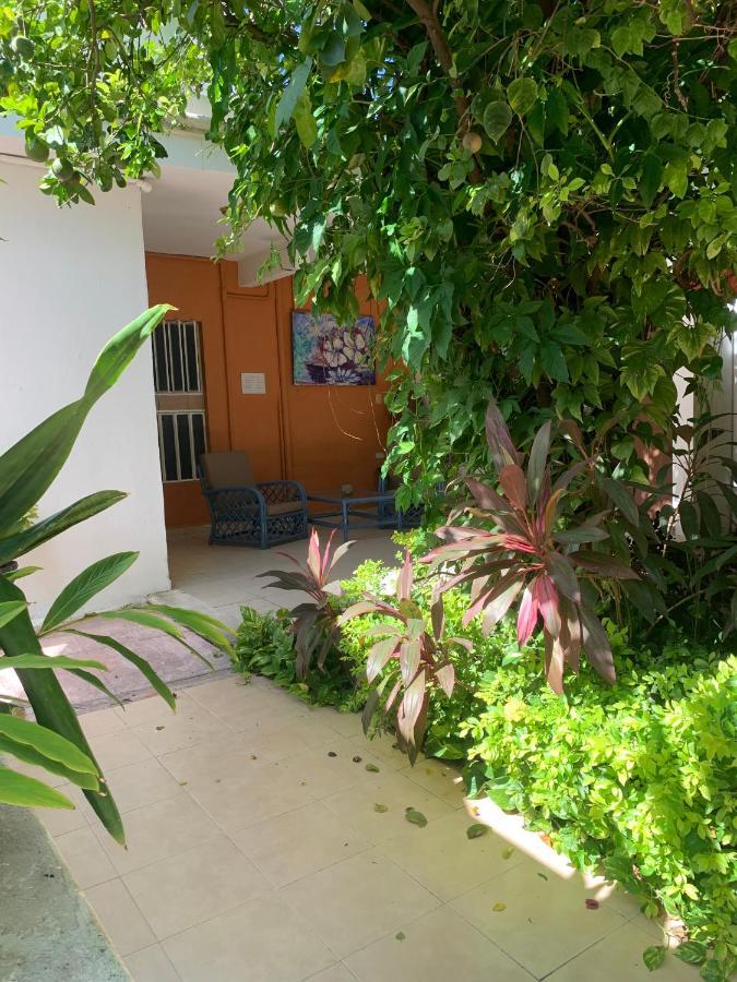 ホテルCasa Centro 70 メリダ エクステリア 写真