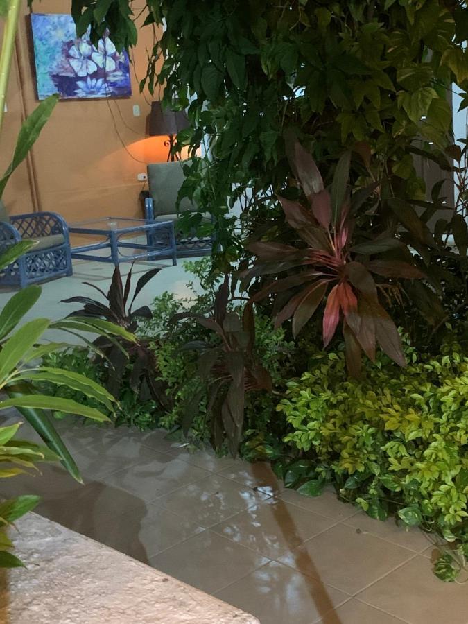 ホテルCasa Centro 70 メリダ エクステリア 写真